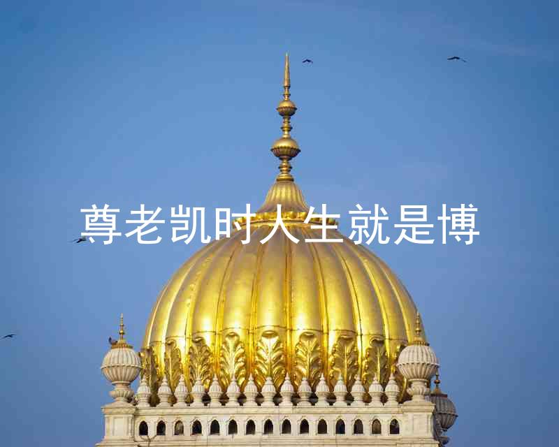 尊老凯时人生就是博